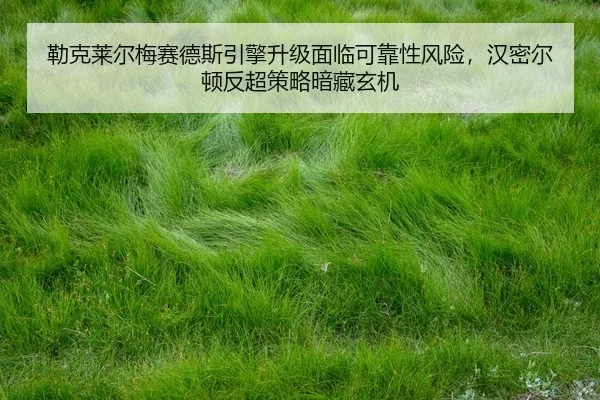 lei-ke-lai-er-mei-sai-de-si-yin-qing-sheng-ji-mian-lin-ke-kao-xing-feng-xian-han-mi-er-dun-fan-chao-ce-lve-an-cang-xuan-2-409.jpg