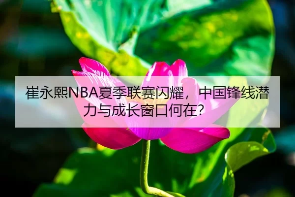 崔永熙NBA夏季联赛闪耀，中国锋线潜力与成长窗口何在？