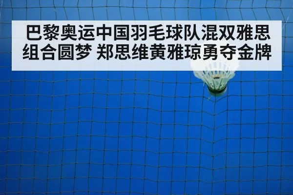 badminton net play
