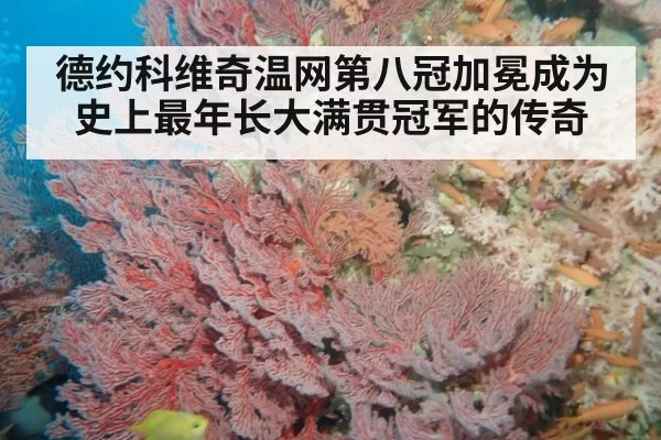 德约科维奇温网第八冠加冕成为史上最年长大满贯冠军的传奇